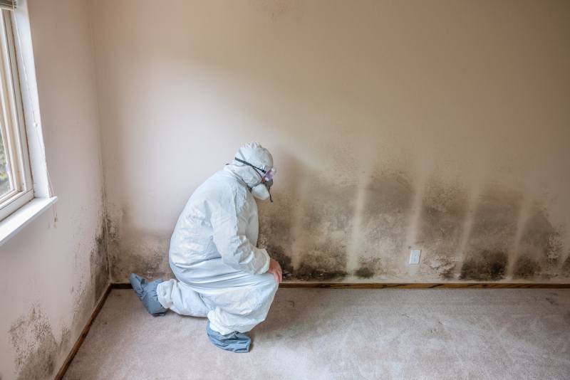 causes of basement water damage waterproofing contractor